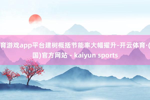 体育游戏app平台建树概括节能率大幅擢升-开云体育·(中国)官方网站 - kaiyun sports