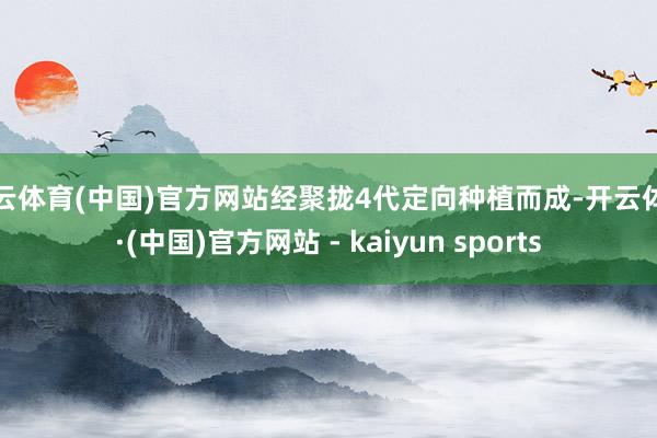开云体育(中国)官方网站经聚拢4代定向种植而成-开云体育·(中国)官方网站 - kaiyun sports